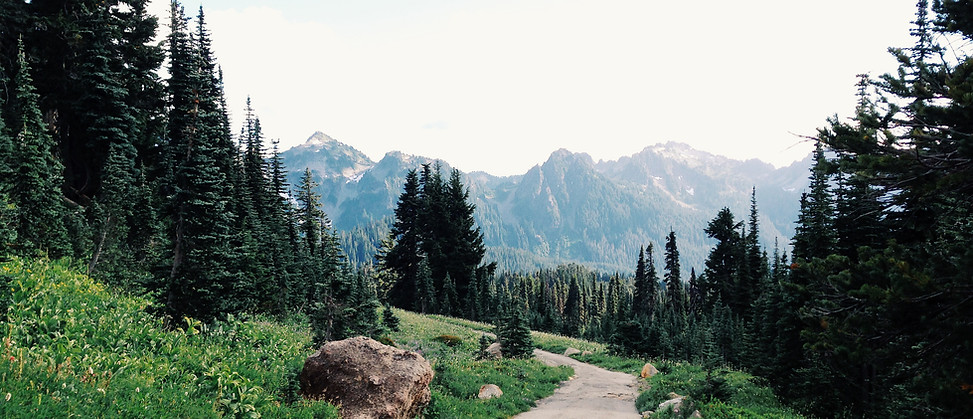 Mountain Path