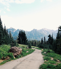 Mountain Path