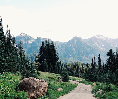 Mountain Path