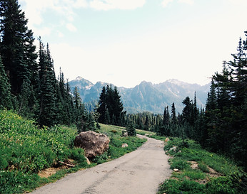 Chemin de la Montagne
