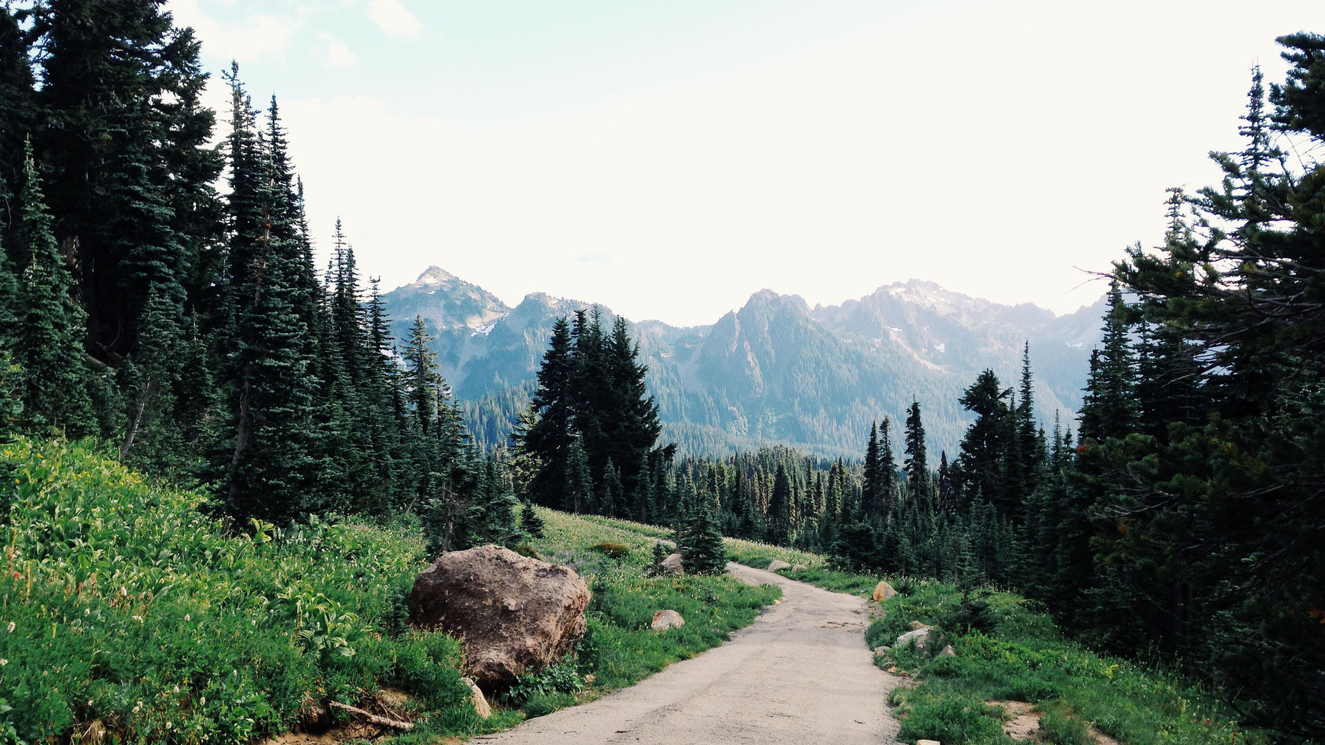 Serene mountain forest path in Oregon