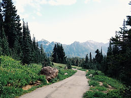 Mountain Path