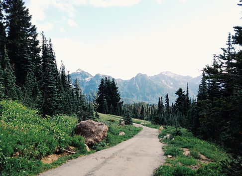 Mountain Path