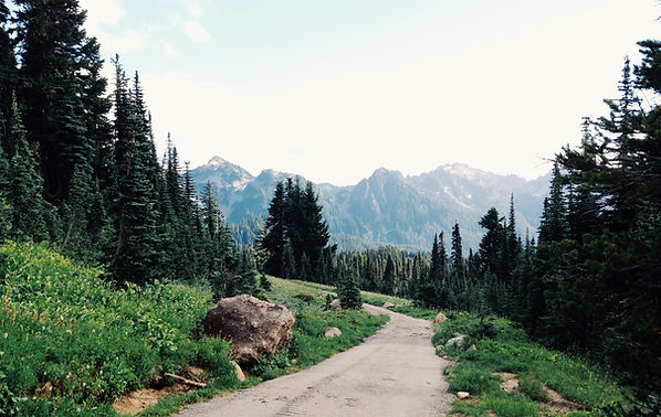 Mountain Path