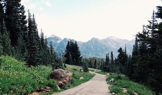 Mountain Path