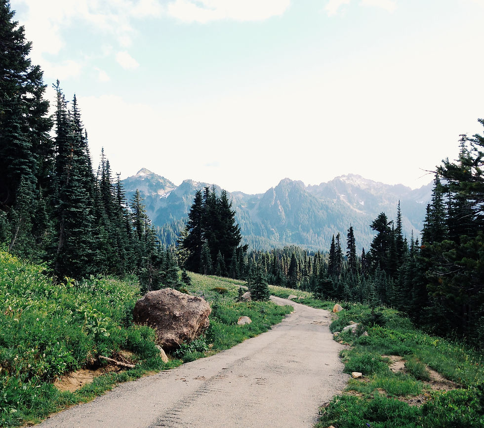 Mountain Path