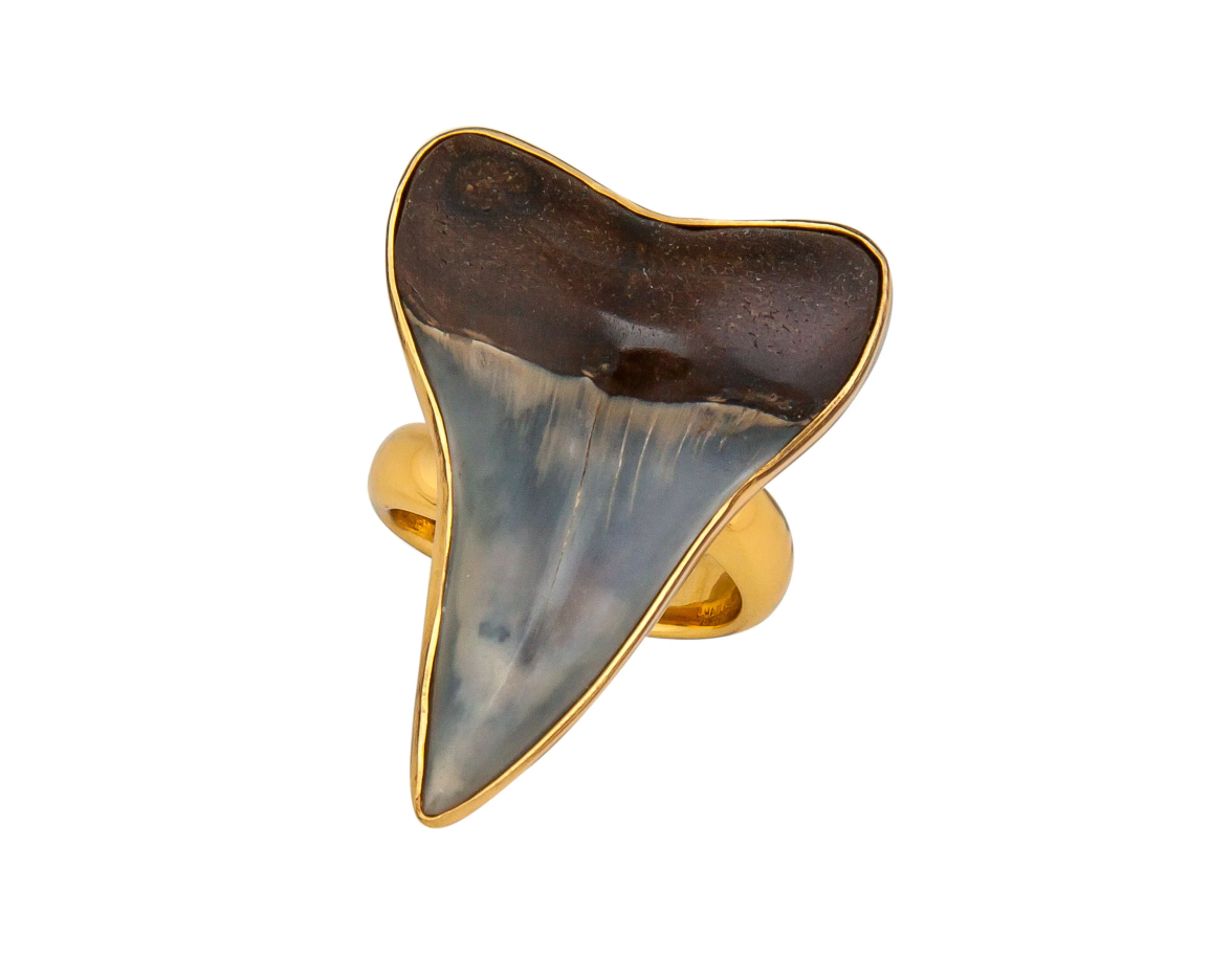 CA - Alchemia Fossil Shark Tooth Adjustable Ring