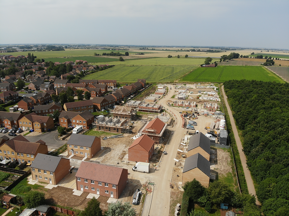 Our Services (Header).png