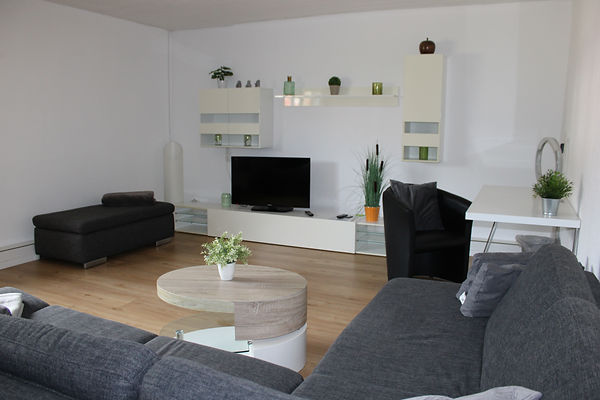 wohnbereich couch tv