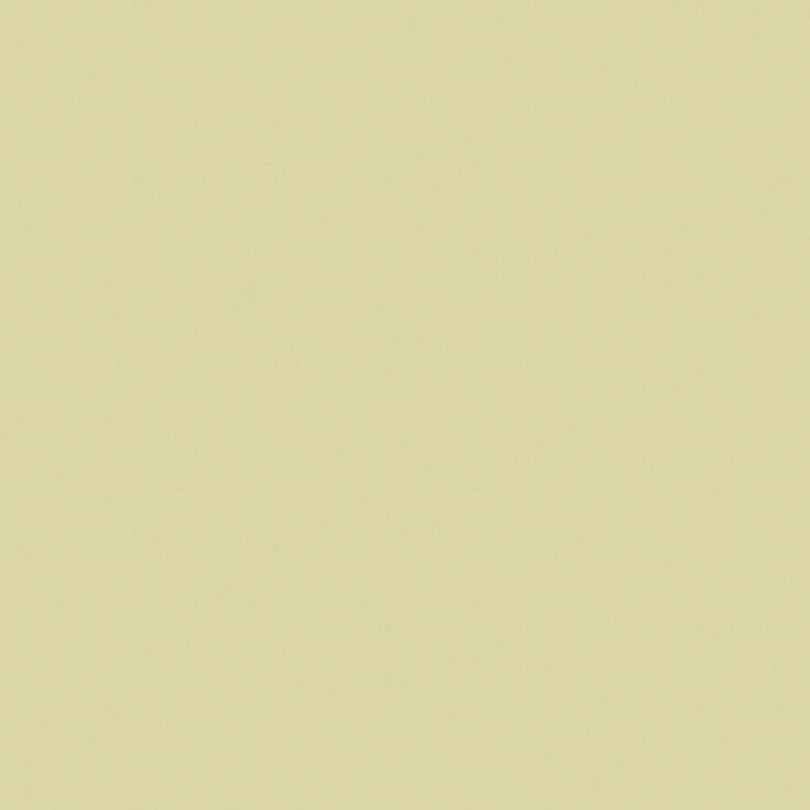 Little Greene Olive Oil Paint
