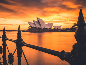 ¿Alguna vez has soñado con estudiar en un lugar donde los canguros son una vista común, las playas son de ensueño y la educación es de primer nivel? ¡Entonces Australia es tu destino perfecto! 🐨