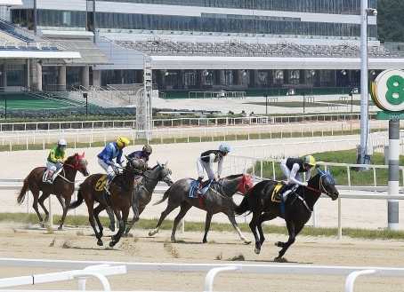 “시대에 맞게” 온라인 마권 발매 허용법 국회 상임위 통과