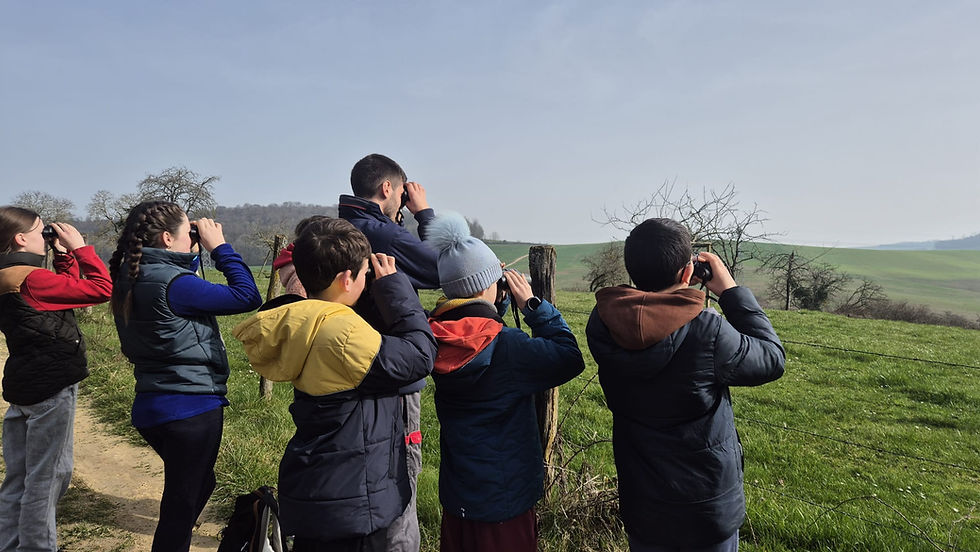 Sortie spéciale ados : expédition jumelles !