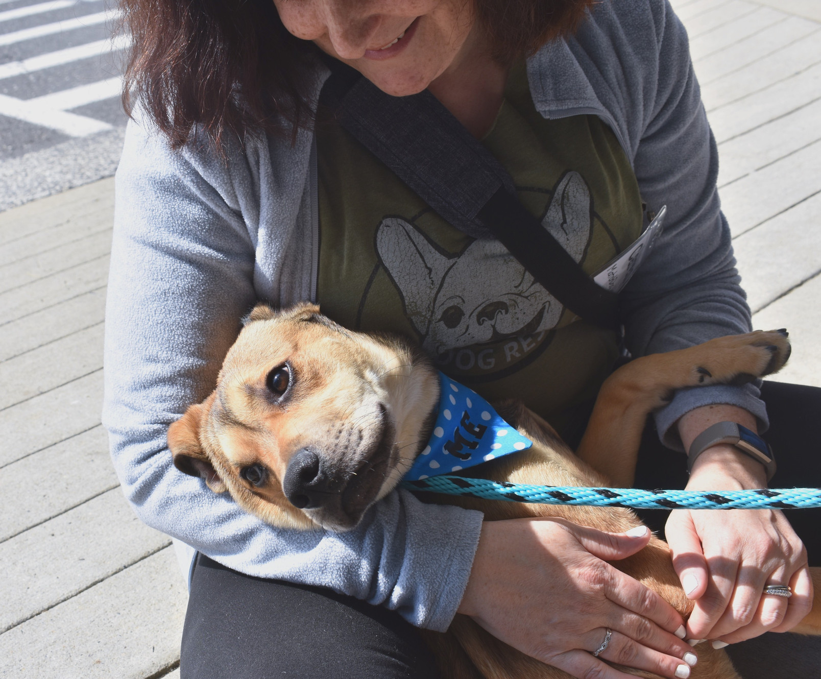 Certified Dog Trainer And Behavior Consultant Exton Pa Deb Murray