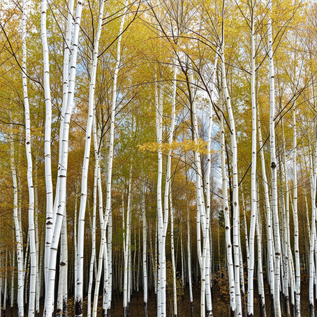 GO DEEP: Kol Nidrei 5786