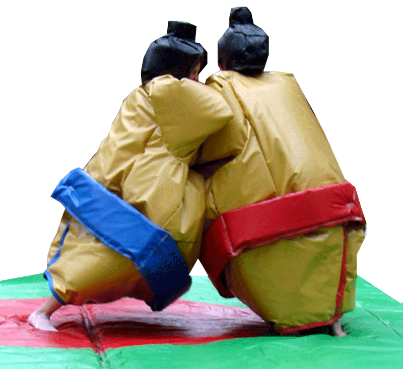 Kit de sumo adulte 140€