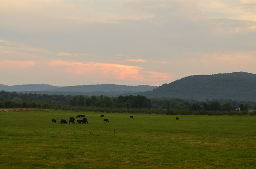 DSC_0426.JPG