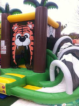 Tigre. Réf : STC09