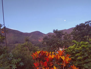 El dÃa que conocà el Cabuyal