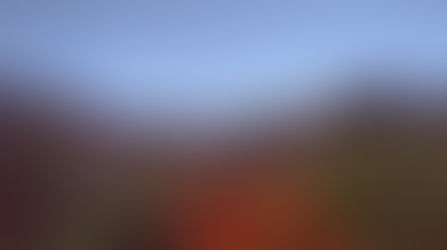 El dÃa que conocà el Cabuyal