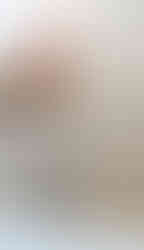 potted plants on a window sill next to a bench