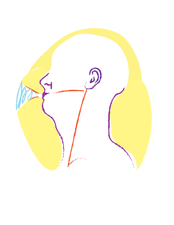 Profile2.gif