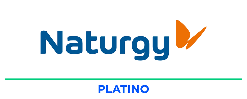 patrocinios-web-NATURGY.png