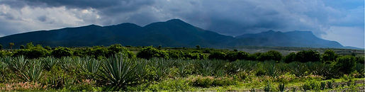 Oaxaca-01.jpg