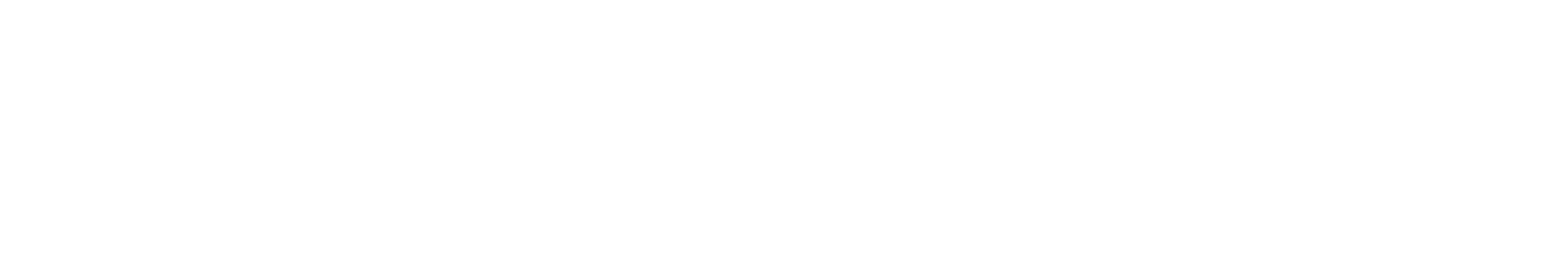 AMEXHI-LOGO-10-AÑOS-CNP-10.png
