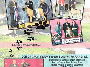 Hickory Creek Mastiffs Publications