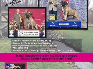 Hickory Creek Mastiffs Publications