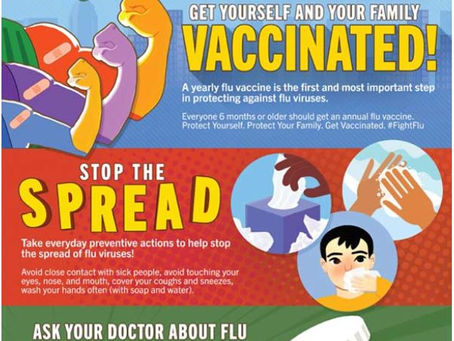 Fight the Flu