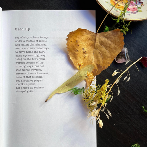 Meta-Critical Diaspora Poetry is the New Meta