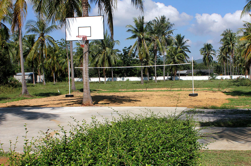 Volley_basket_low