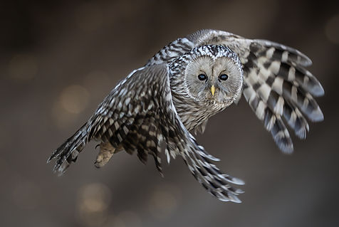 _MG_1272 klein ohne Logo.jpg