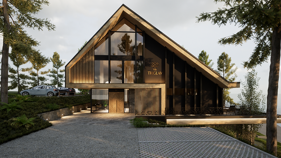 Idejni projekt arhitektura, 3D vizualizacijage2