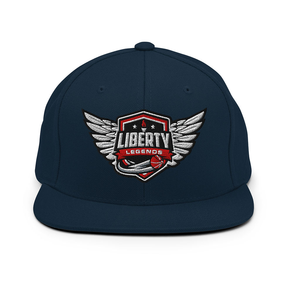 WINGS - Snap Back Hat