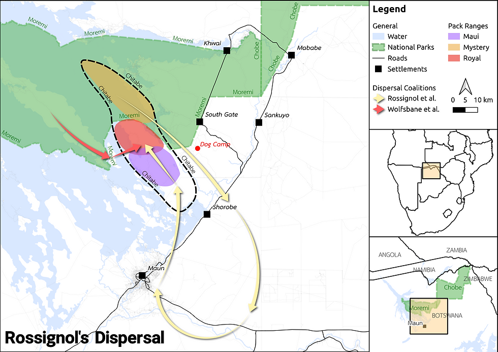 Movement routes of African wild dogs