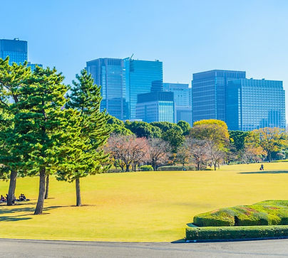Free Photo | Tokyo cityscape skyline. (2017, January 24). Freepik. https://www.freepik.com/