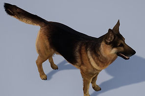 Screenshot 2024-05-13 012124.jpg