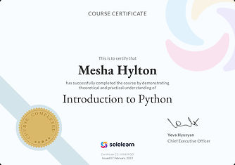 Introduction to Python_certificate.jpg