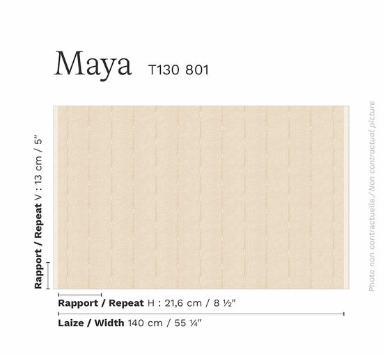 ISSÉ_rapport_T130801.jpg