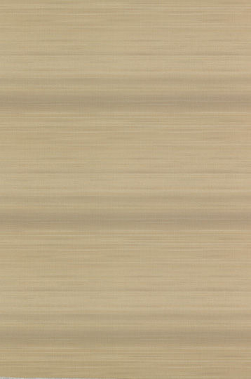 W2-SW-06