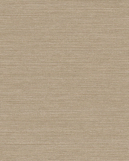 BL50052