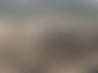 Peak rail operations for HS2