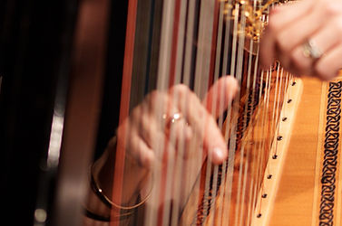 Harp Hands Close Up.jpg