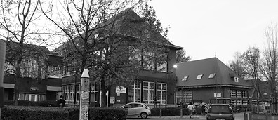 Mooi-bos - doorndal.JPG.jpg