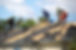 shutterstock_2410074263.jpg