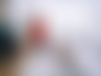 Woman in red shirt playing with a standing dog in a bright living room with a gray sofa and large window. Cozy, joyful atmosphere.