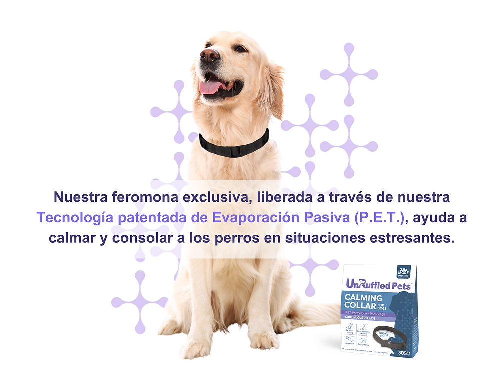 2-Tecnología patentada de Evaporación Pasiva (P.E.T.)
